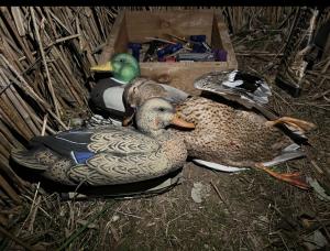 Pack Colverts flottants Ultra HD moussés Stepland