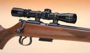 Carabines de jardin - 22lr-17hmr